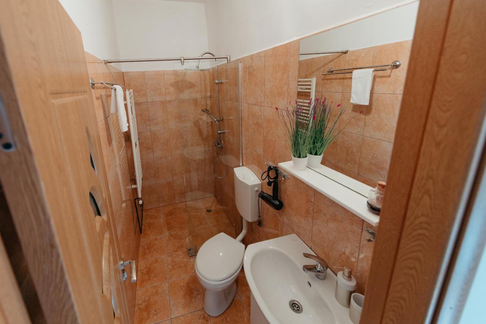 סיביו Flh - Apartament Mai Cu Aroma De Cafea Si Ceai מראה חיצוני תמונה